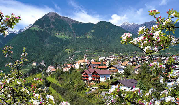 Dorf Tirol in Fr&uuml;hlingsbl&uuml;te